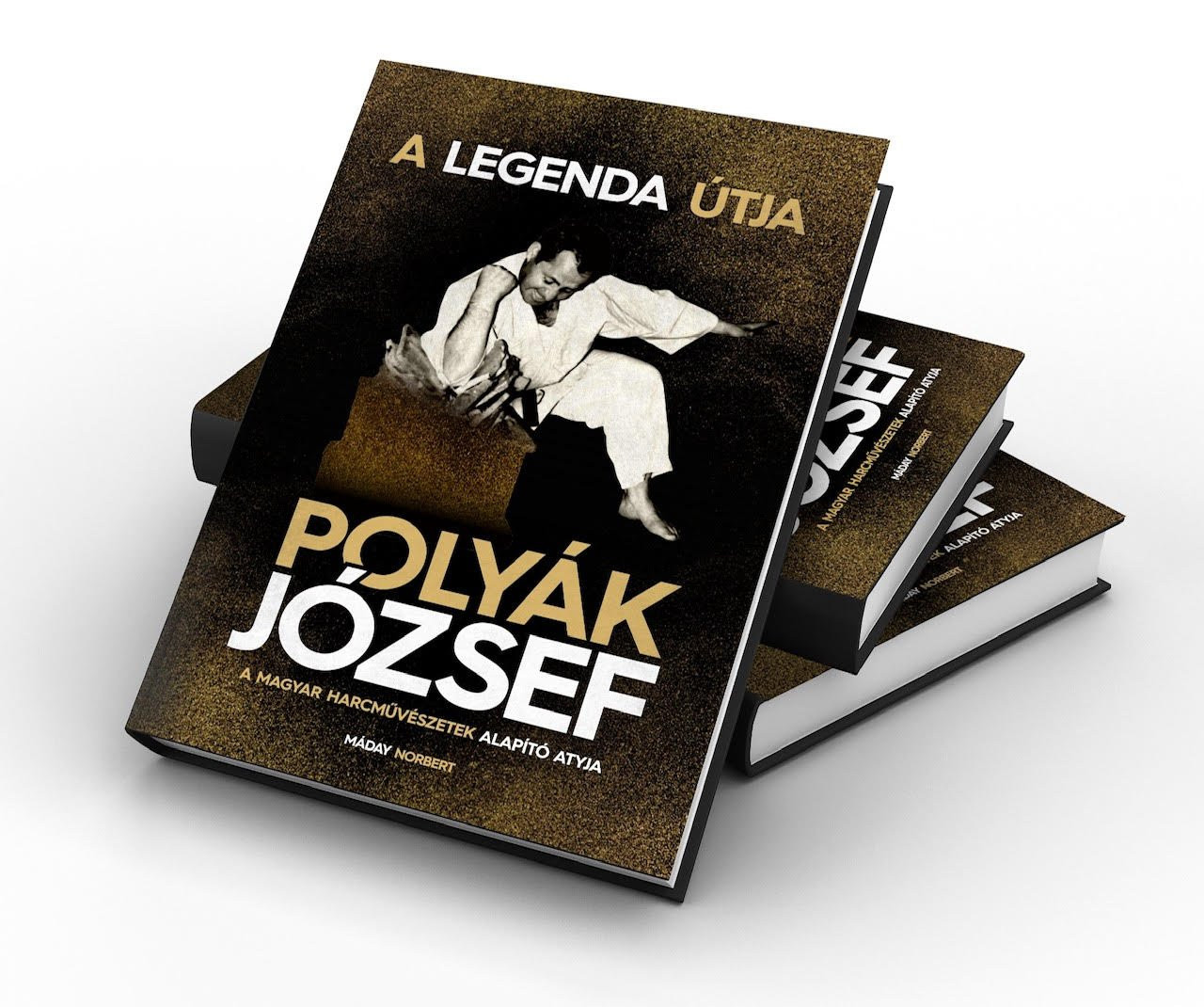 Könyv jelent meg Polyák Józsefről, a legendás harcművészről